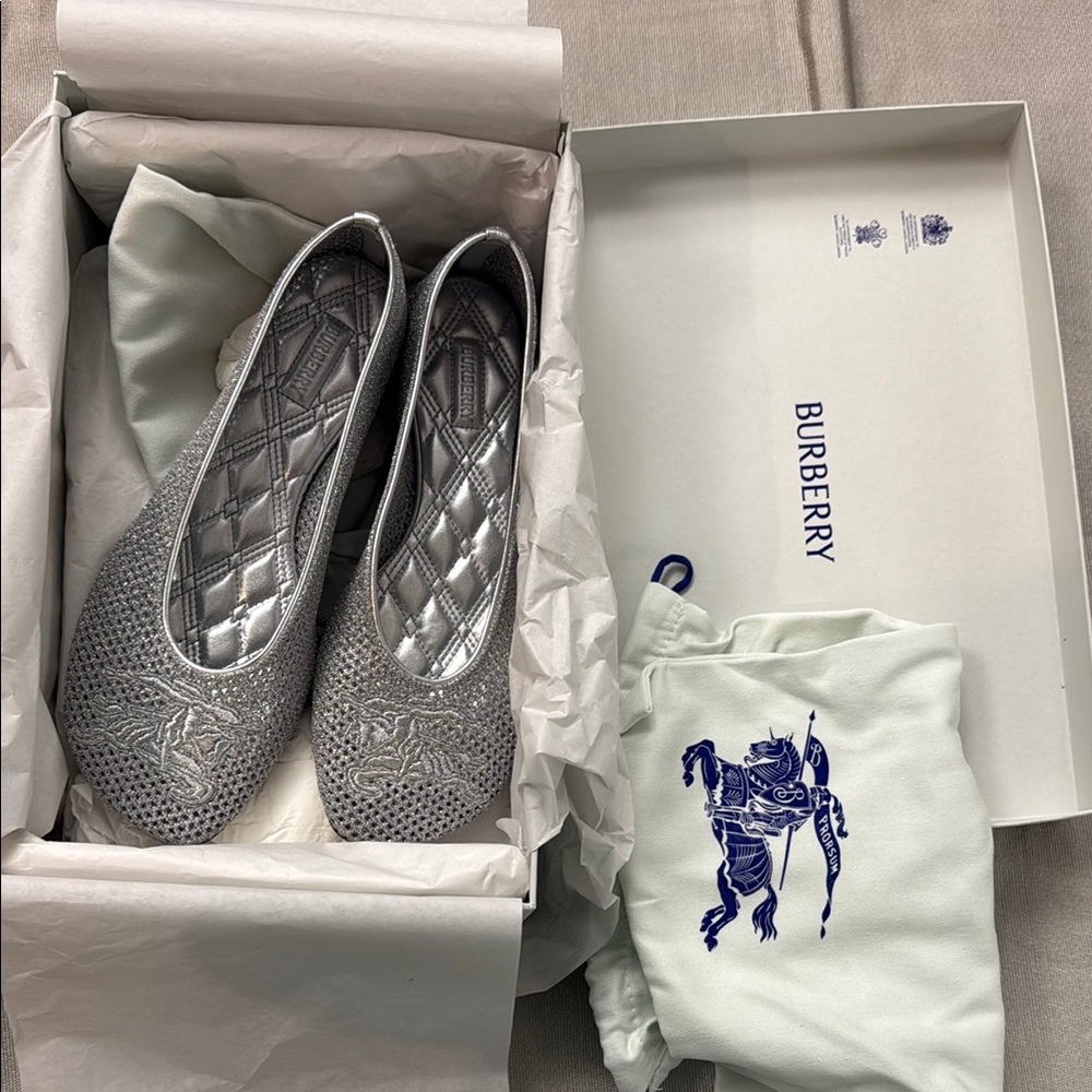 Burberry Silver mesh ballet flat